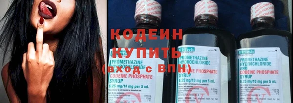 молекула духа Богородицк