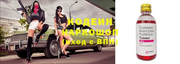сатива Сосновка