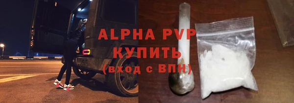 молекула духа Богородицк
