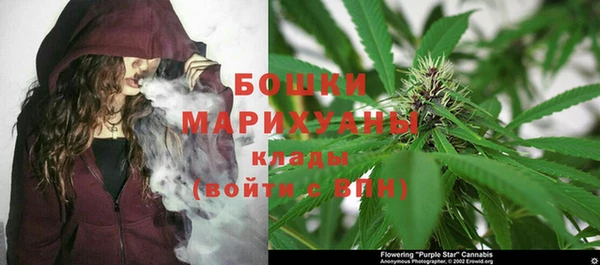молекула духа Богородицк