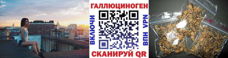 Галлюциногенные грибы Magic Shrooms закладка Маркс